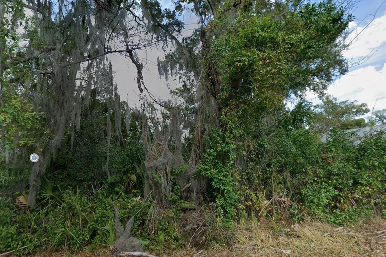 Vacant NW 6th Ave., Gainesville, FL 32601