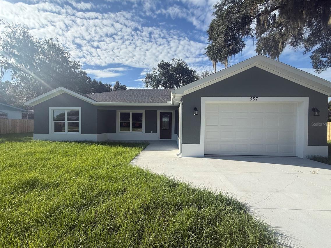 557 County Road 487, Lake Panasoffkee, FL 33538