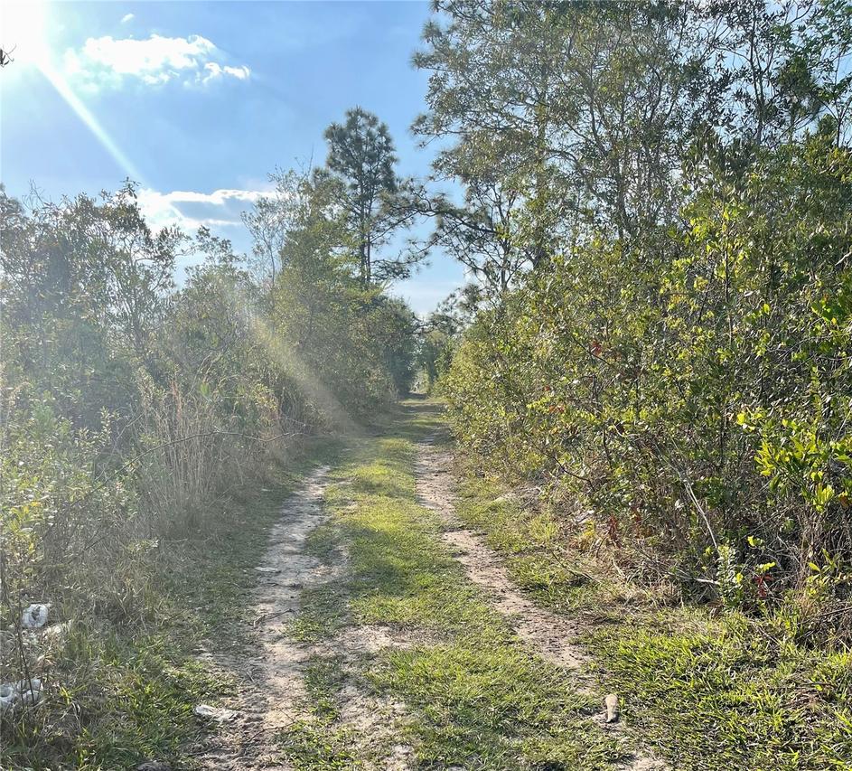 Topeka Ave., St Cloud, FL 34773