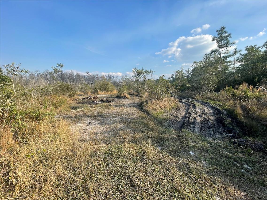 Concord Rd., St Cloud, FL 34773