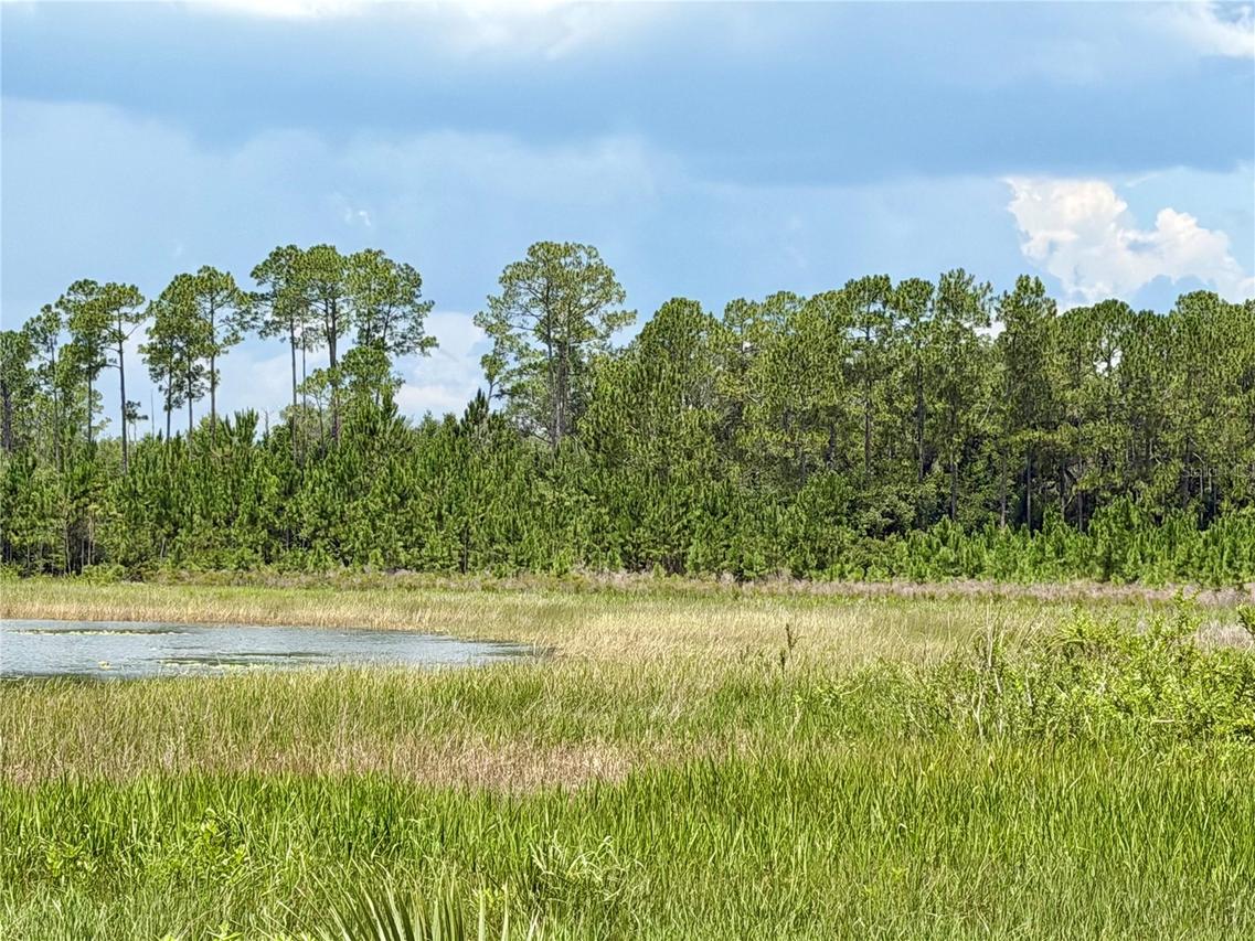 SE Forest 02, #3,  Se 150th St., Umatilla, FL 32784