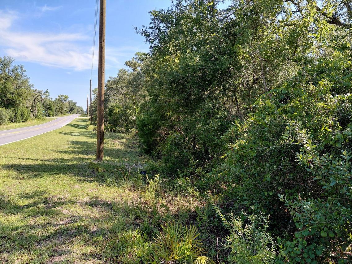 Wheystone Dr., Webster, FL 33597