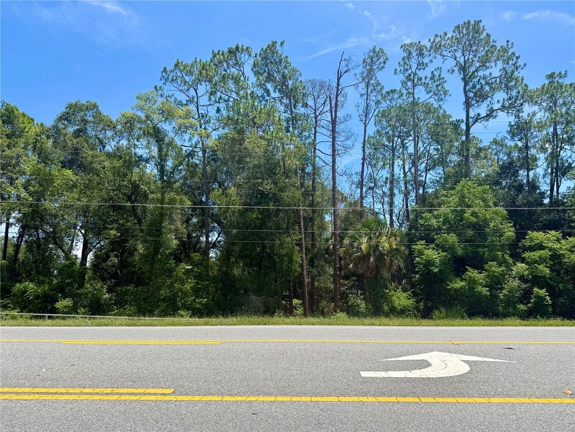 LOT 13 State Road 44, Eustis, FL 32726
