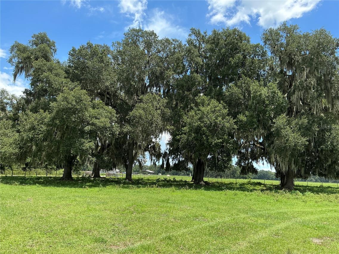 Cr 755, Webster, FL 33597