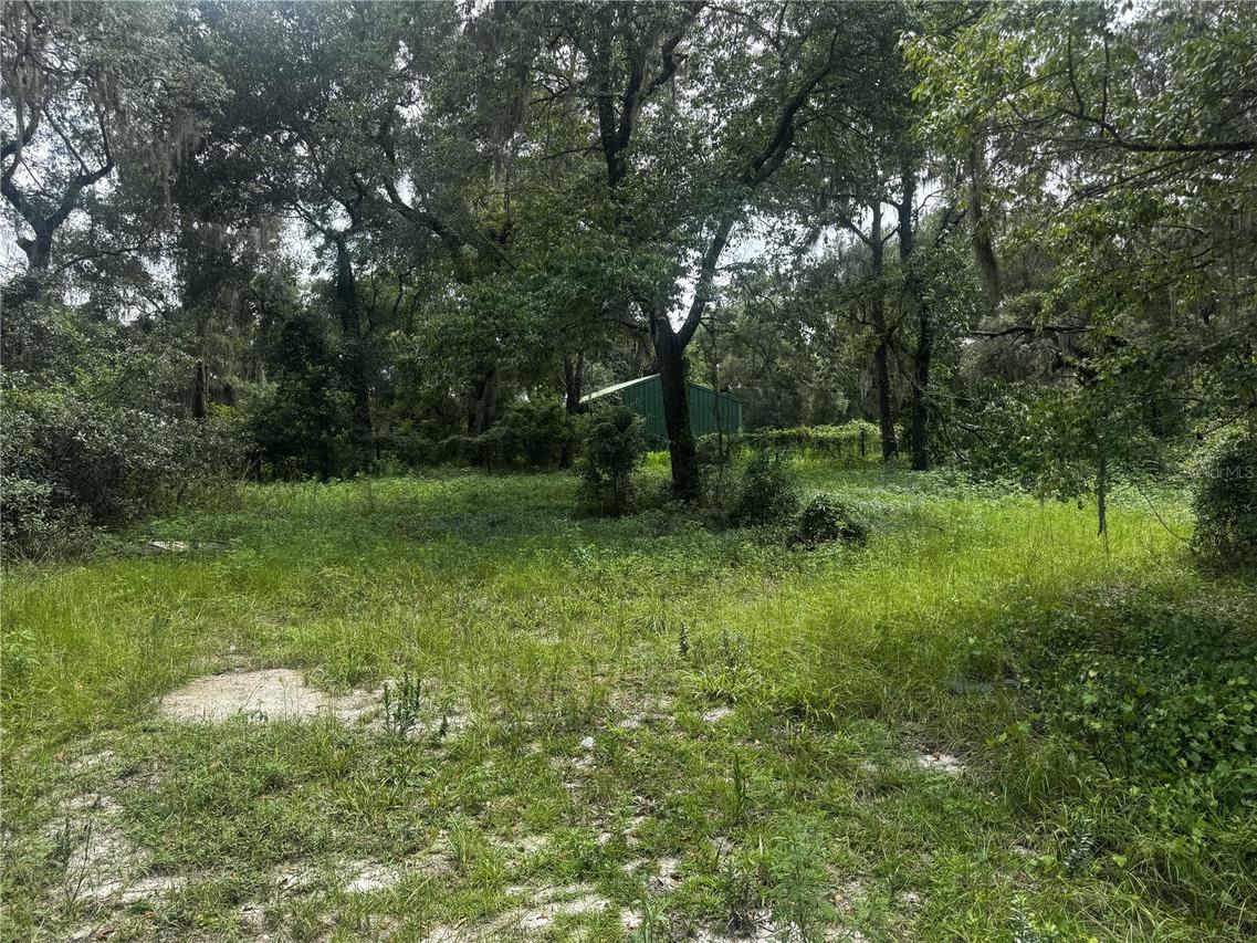 20716 SE 156th Pl., Umatilla, FL 32784