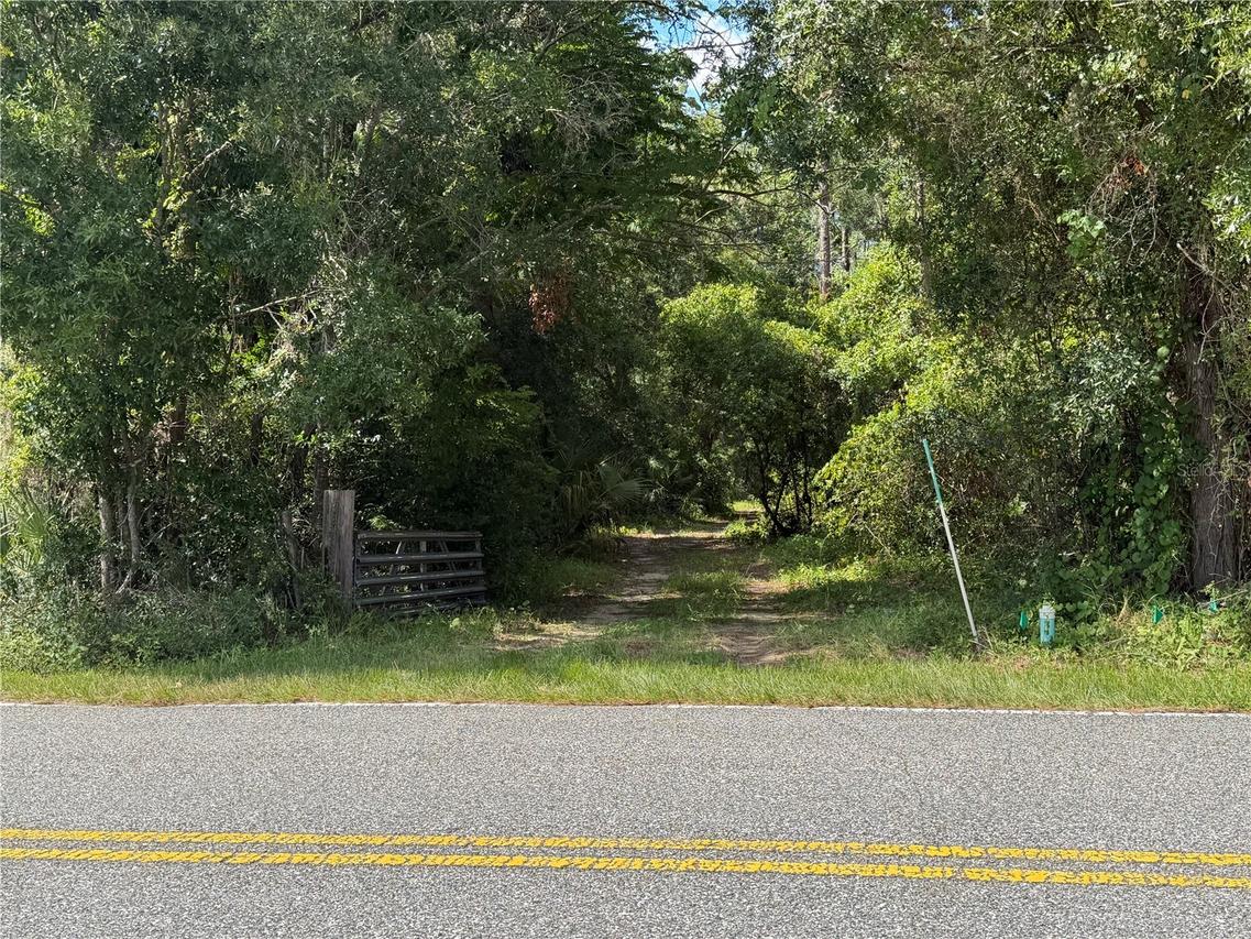 E Bates Ave., Eustis, FL 32726