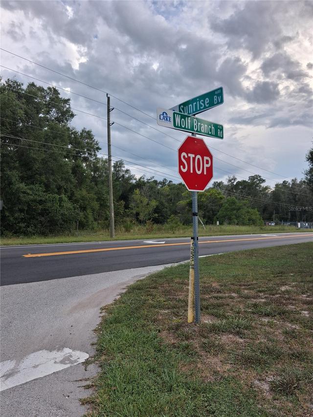 Lot 167 Park Forest Blvd., Mount Dora, FL 32757