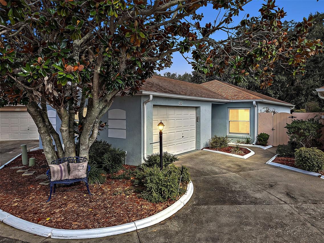 1717 Francisco St., The Villages, FL 32159