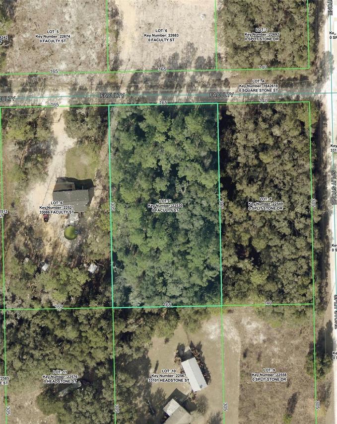 33104 Faculty St., Webster, FL 33597