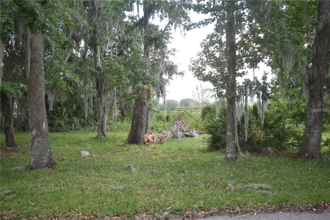LOT 52 BLK C Lexington- Cir., Wildwood, FL 34785