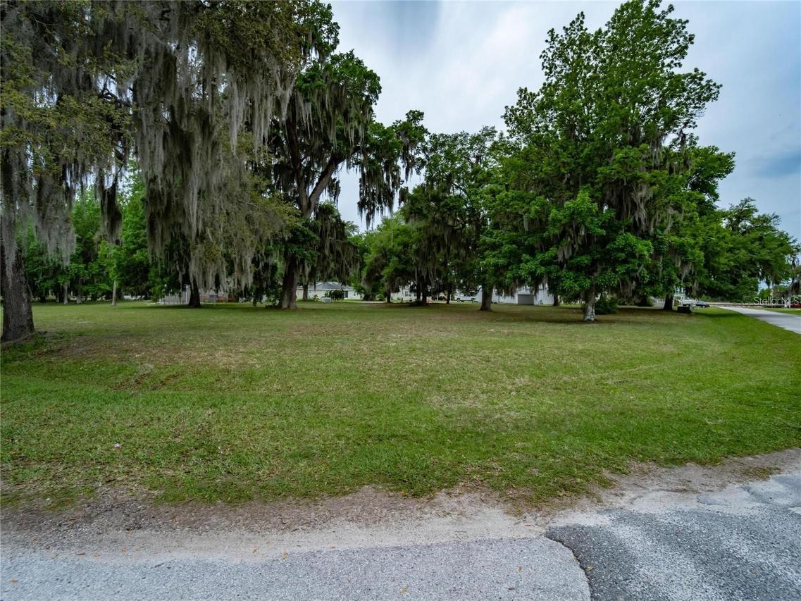 Lot 30 Blk C Oxford Ct., Wildwood, FL 34785