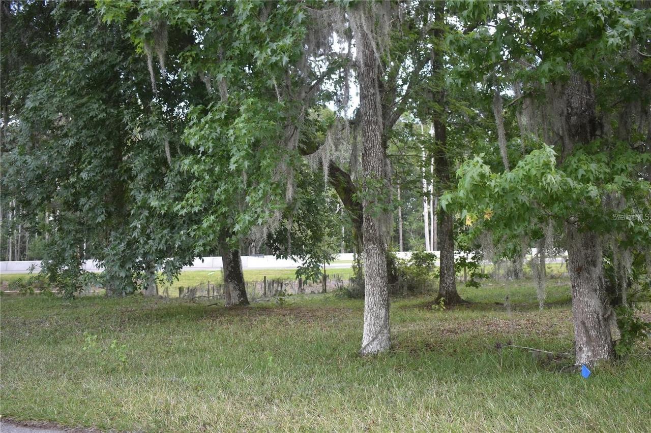 Lot 59 Blk C Lexington Cir., Wildwood, FL 34785