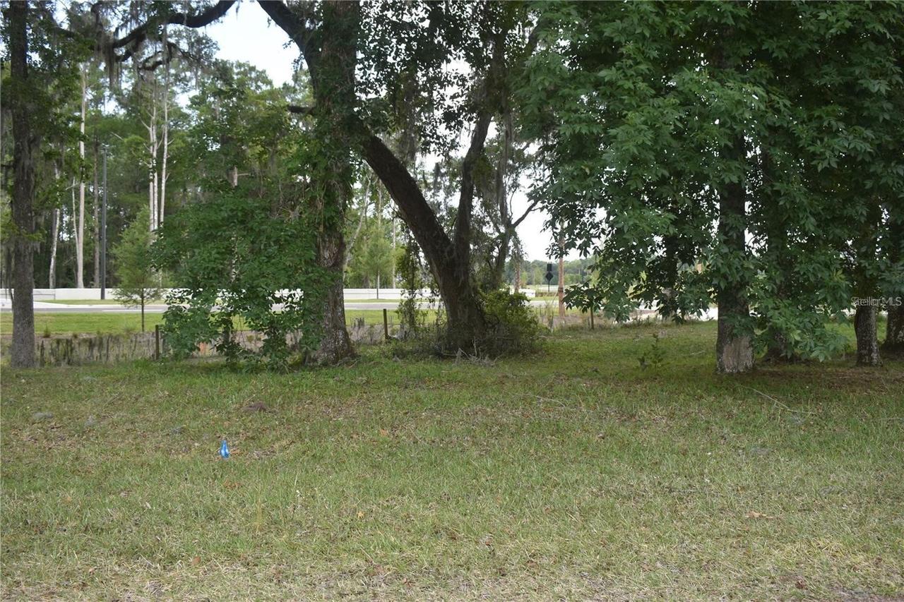 LOT 57 BLK C Lexington Cir., Wildwood, FL 34785