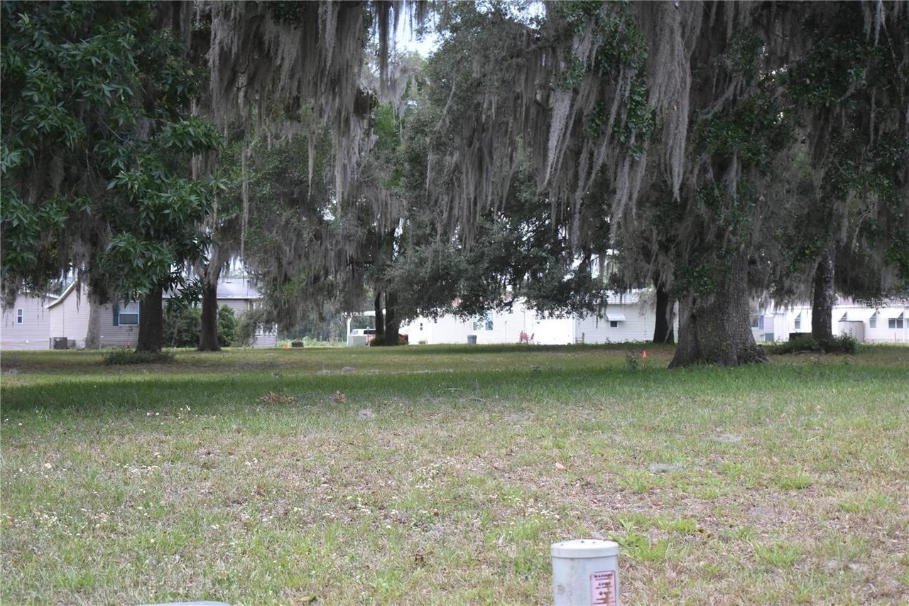 Lot 12 Blk D Lexington Cir Ct., Wildwood, FL 34785