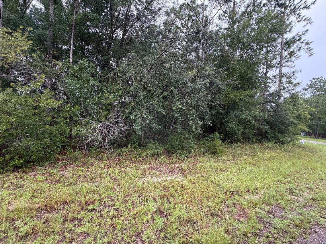 482 W Cabot Ln., Citrus Springs, FL 34434