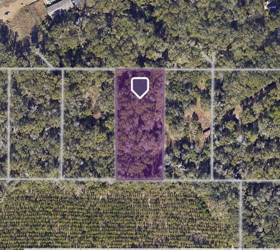 6502 SW 73rd Ave., Gainesville, FL 32608