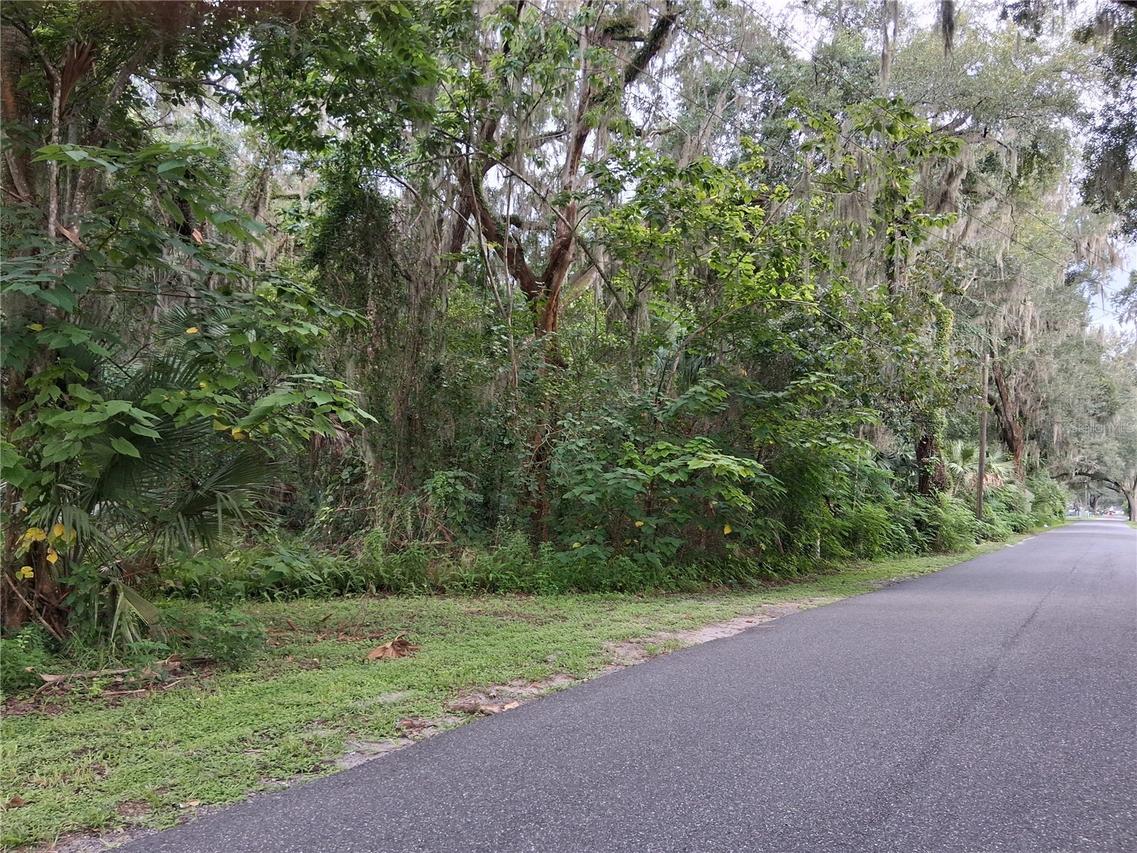 TBD NW County Rd 730 Ave., Webster, FL 33597