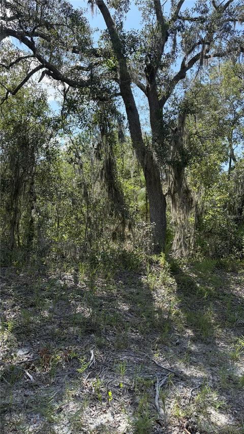 2199 N Stampede Dr., Beverly Hills, FL 34465