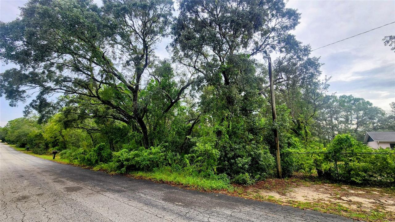 5511 W Rochelle St., Homosassa, FL 34446