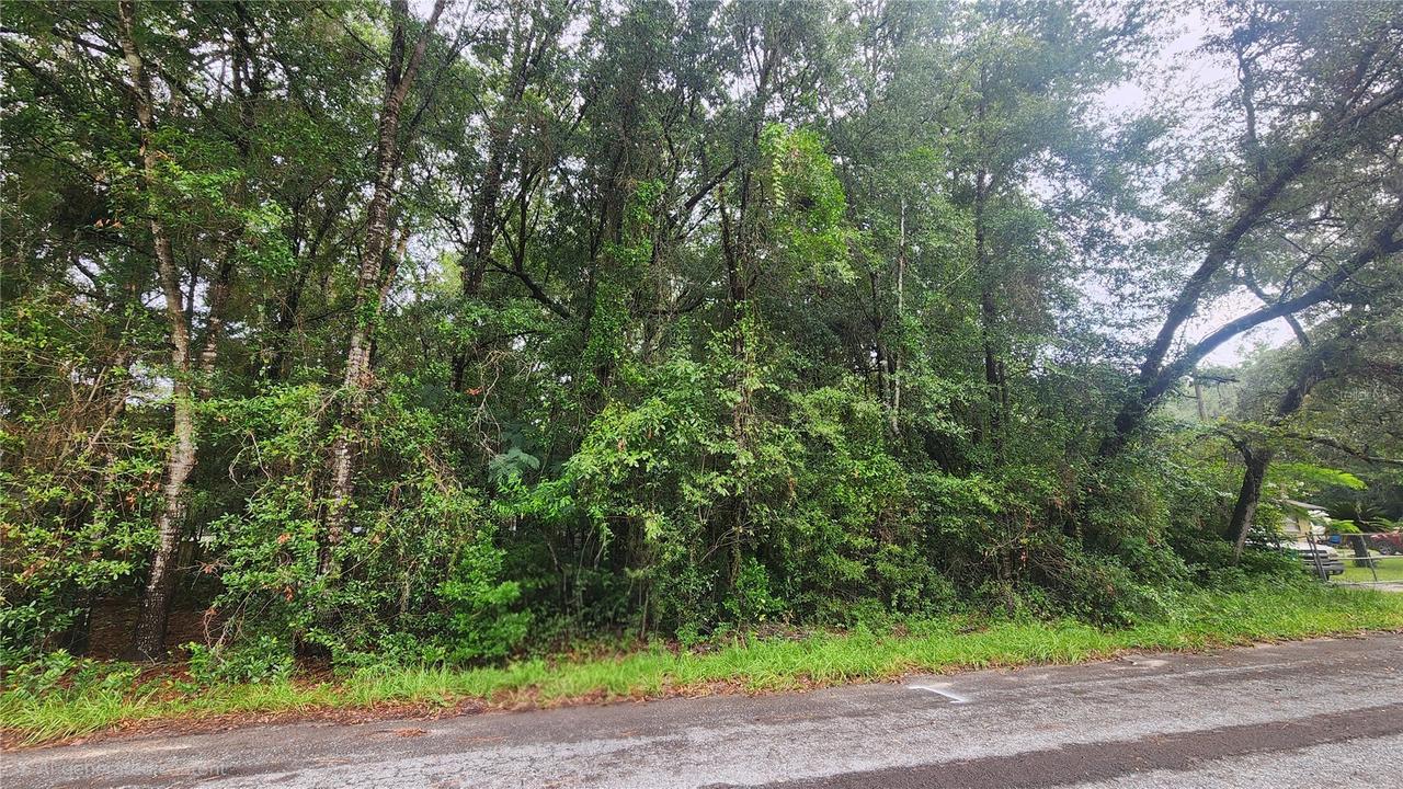 3874 S Gemini Point, Homosassa, FL 34448