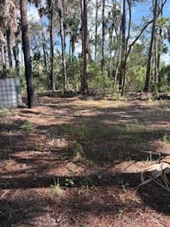 37610 Oaklee Rd., Umatilla, FL 32784