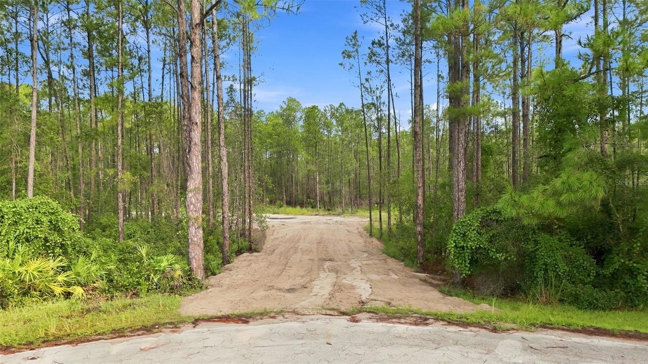 Alder Way, Eustis, FL 32736