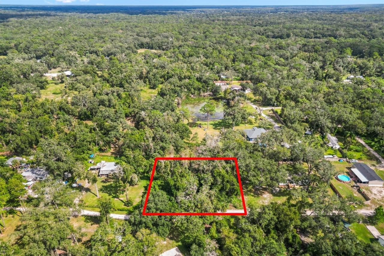 11XXX SW 42nd Ter., Webster, FL 33597