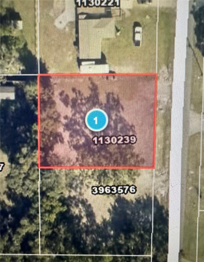 545 Ogden Ave., Umatilla, FL 32784