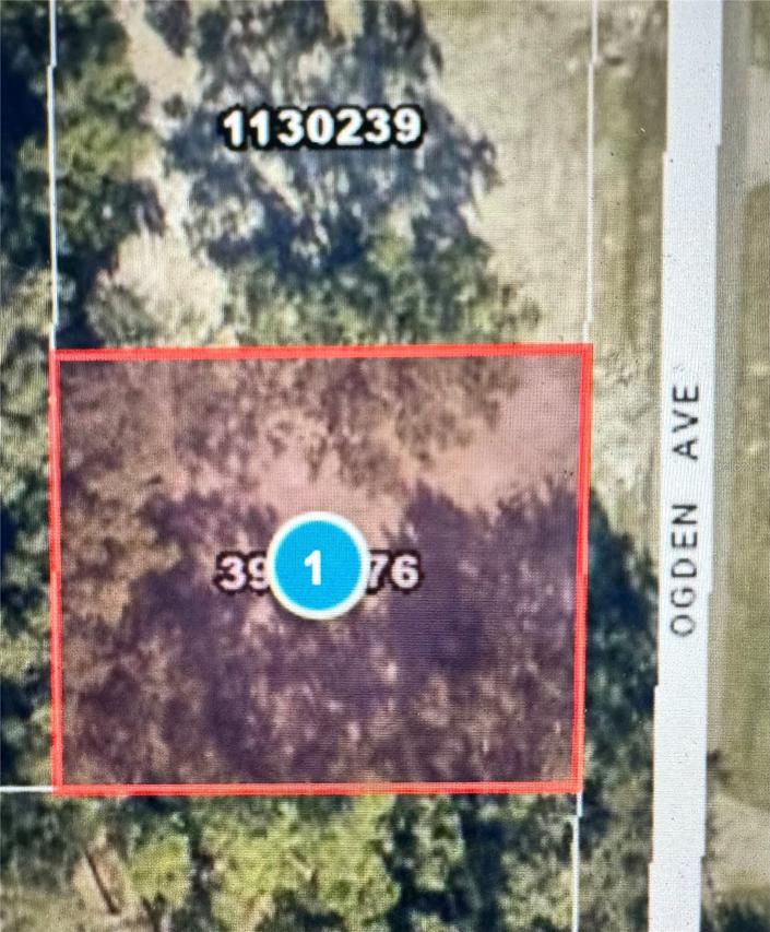 525 Ogden Ave., Umatilla, FL 32784