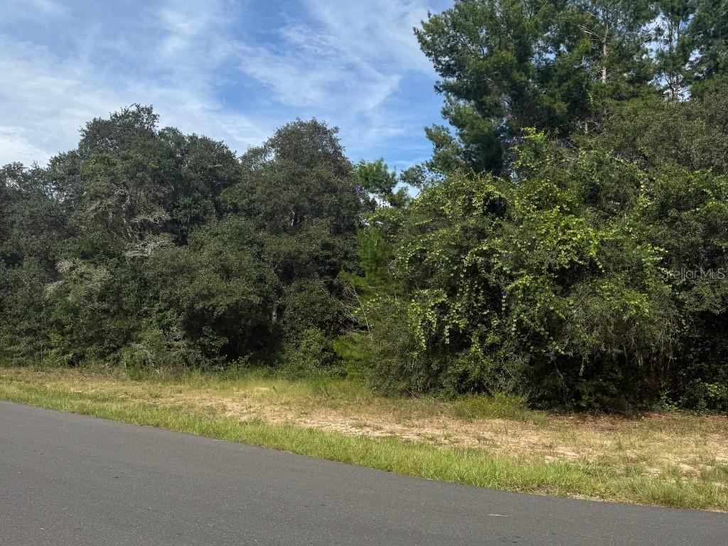 1721 E Colfax Ln., Hernando, FL 34442