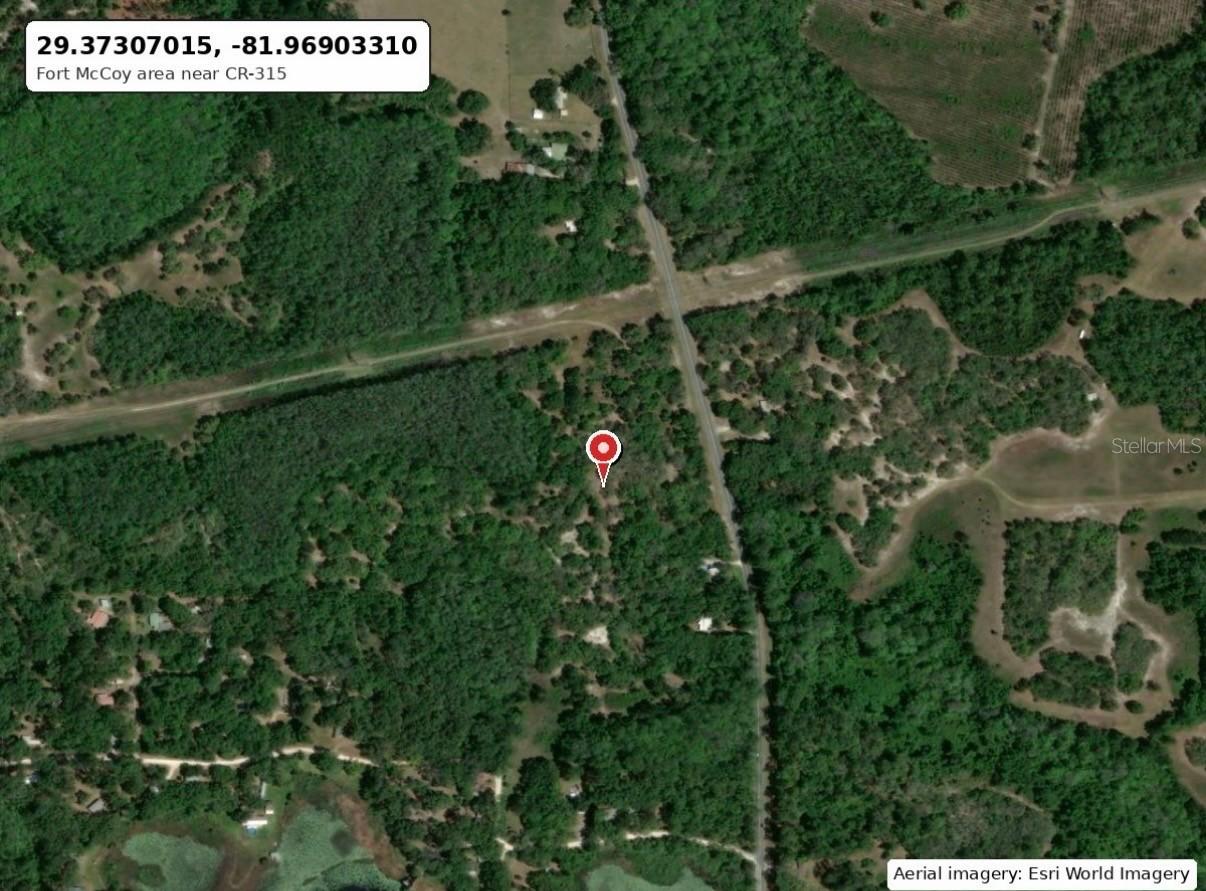 No Situs, Fort Mc Coy, FL 32134