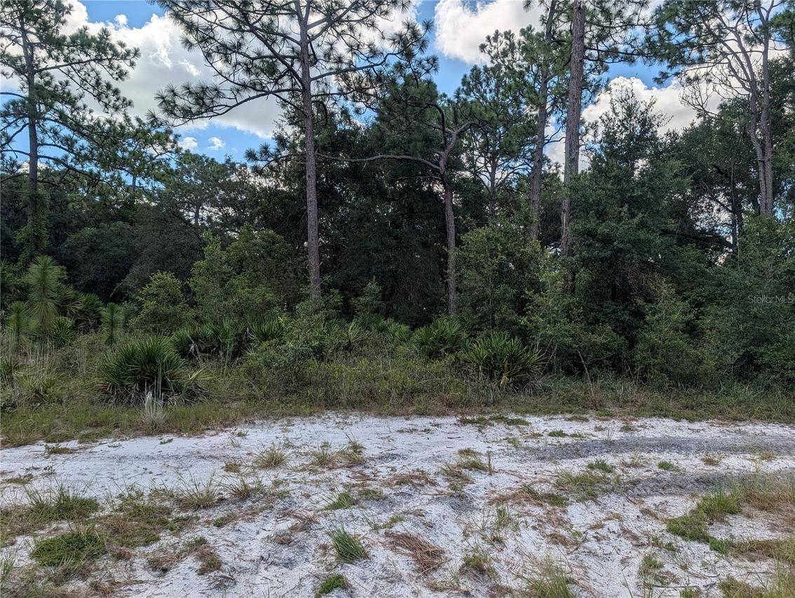 XXX Wedgewood Cir., Mount Dora, FL 32757
