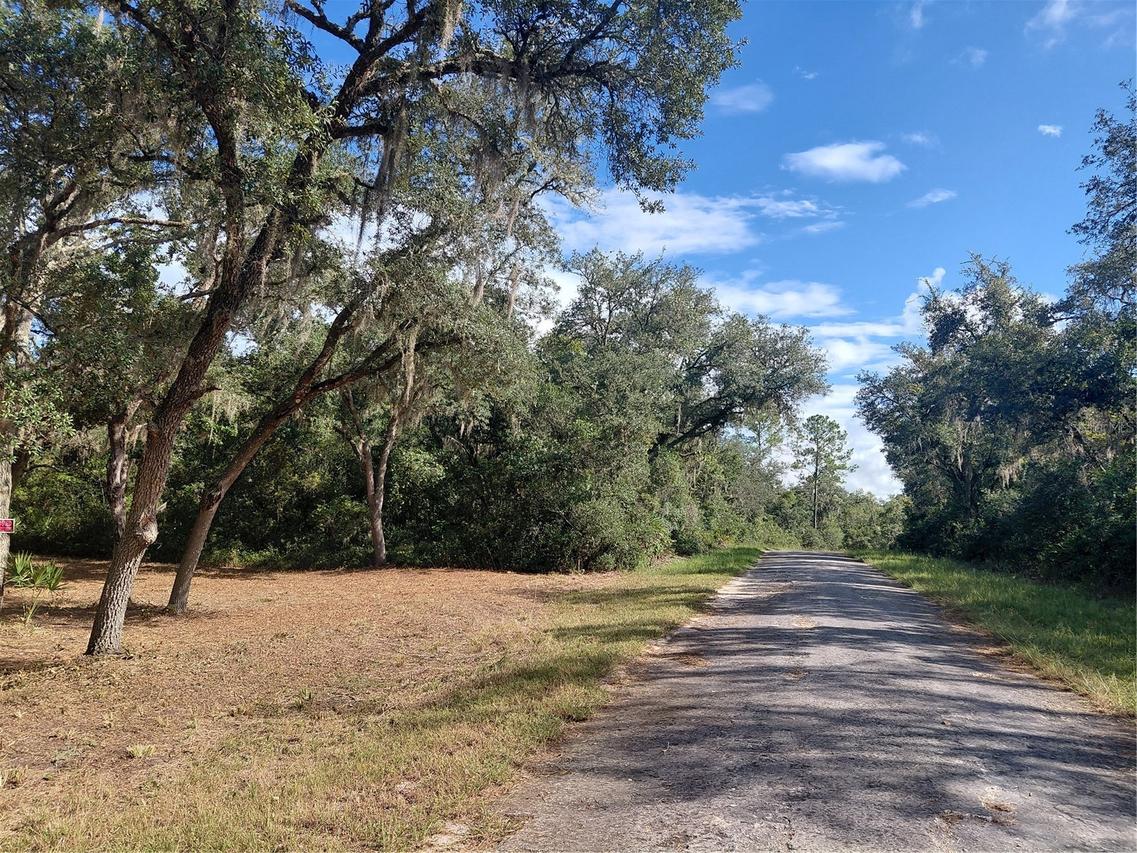 Grindstone Dr., Webster, FL 33597