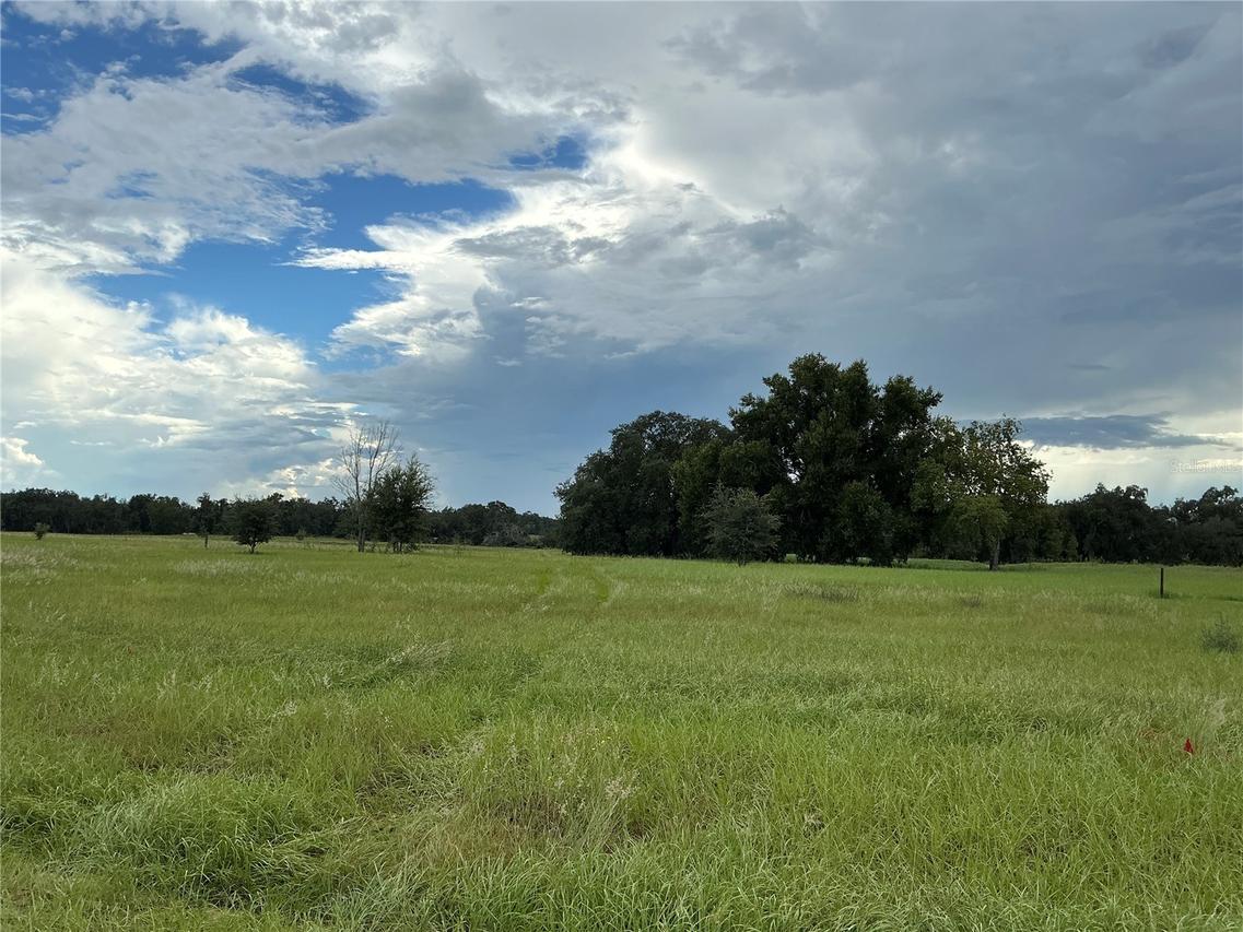 Water Crest Ct., Groveland, FL 34736