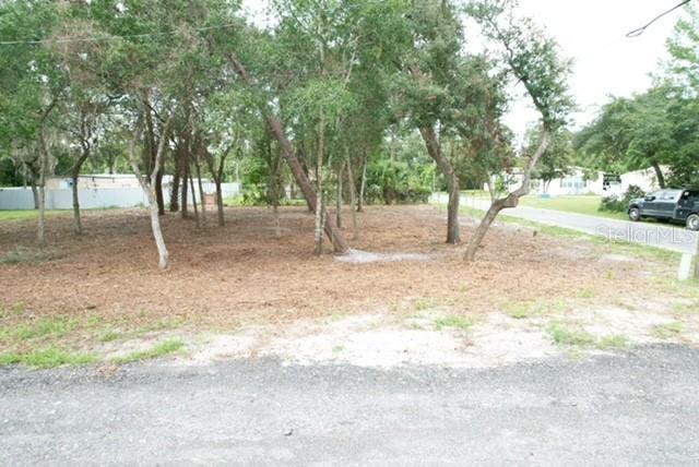 Luella Ave., Paisley, FL 32767