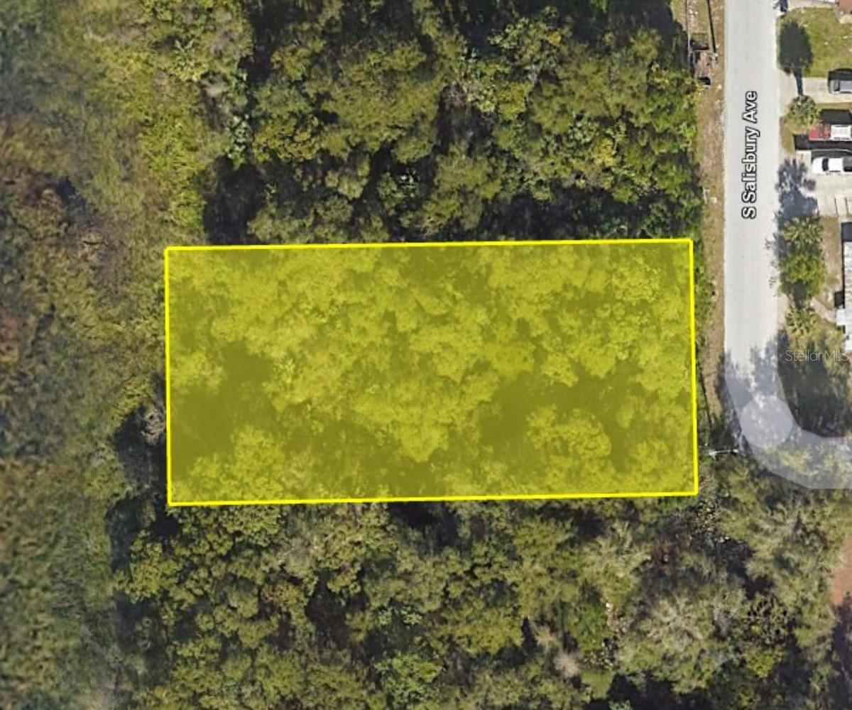 916 S Salisbury Ave., DeLand, FL 32720