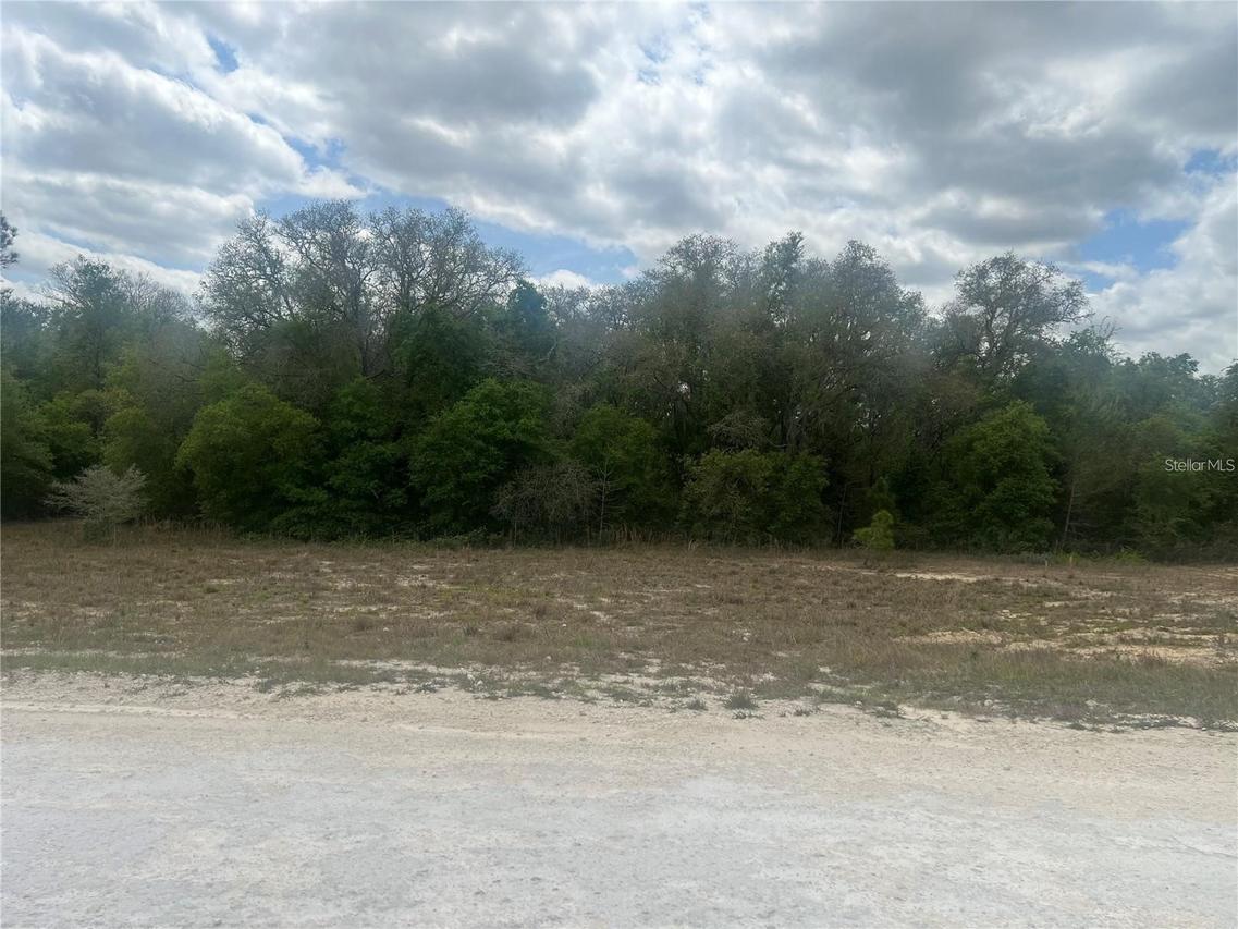 Cleft Rock St St., Webster, FL 33597