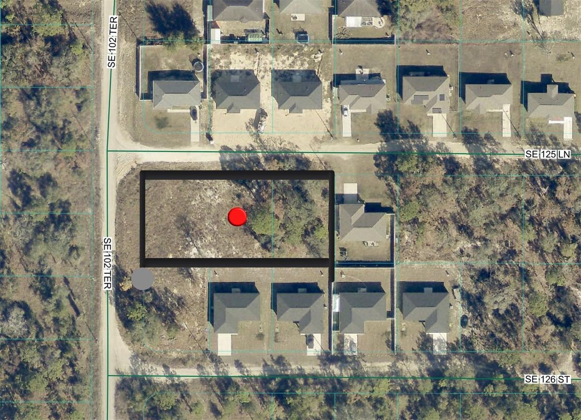 TBD SW 125th Ln., Belleview, FL 34420