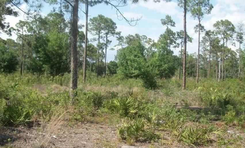 1055 Union Ave., Clewiston, FL 33440
