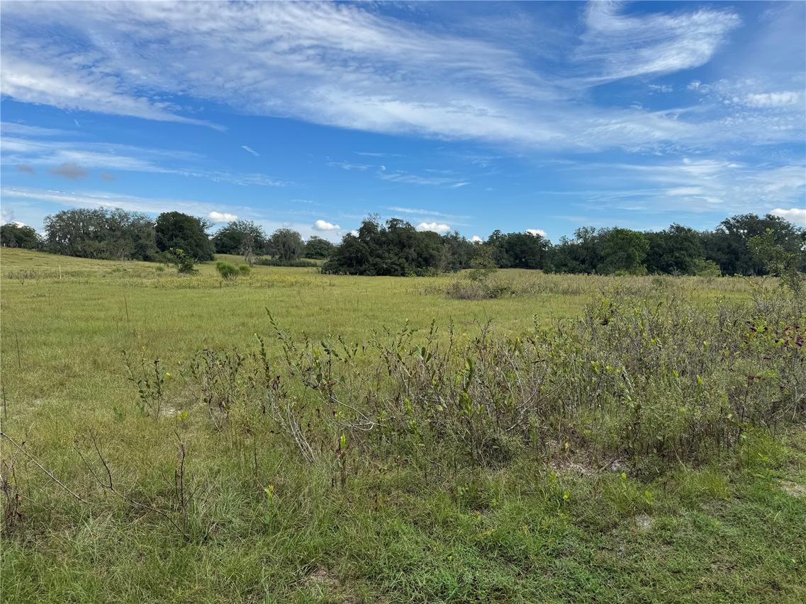 TBD Harrison St., Astatula, FL 34705