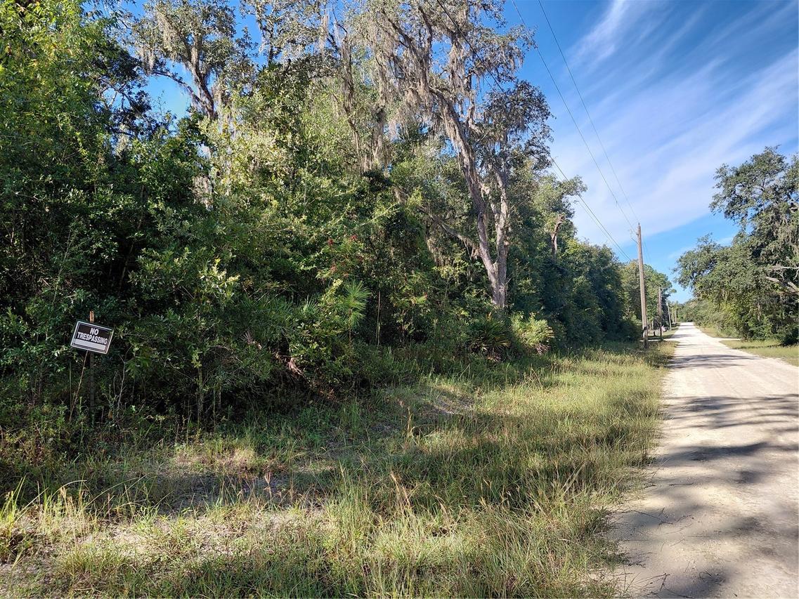 Butternut Dr., Webster, FL 33597