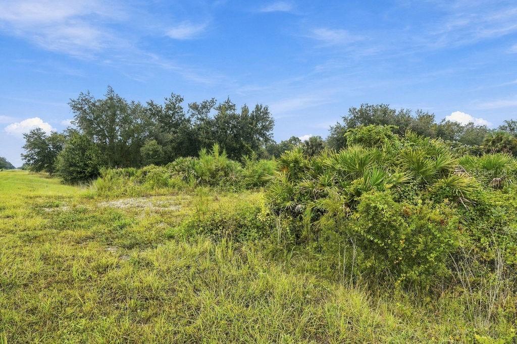 16857 NW 274th St., Okeechobee, FL 34972