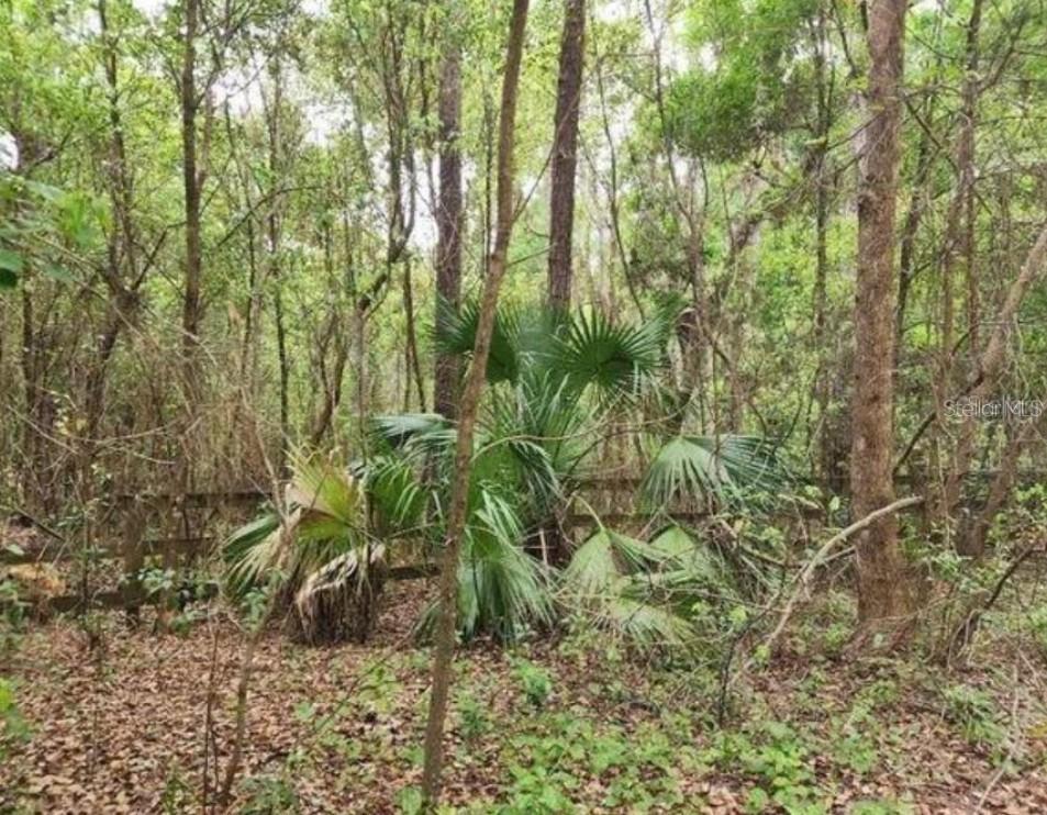 15363 SE 156th Place Rd., Weirsdale, FL 32195
