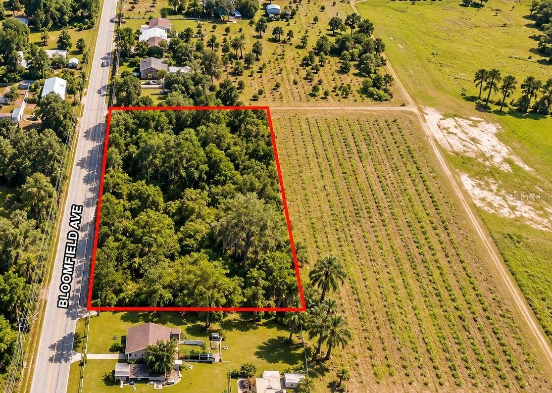 26714 Bloomfield Ave., Yalaha, FL 34797