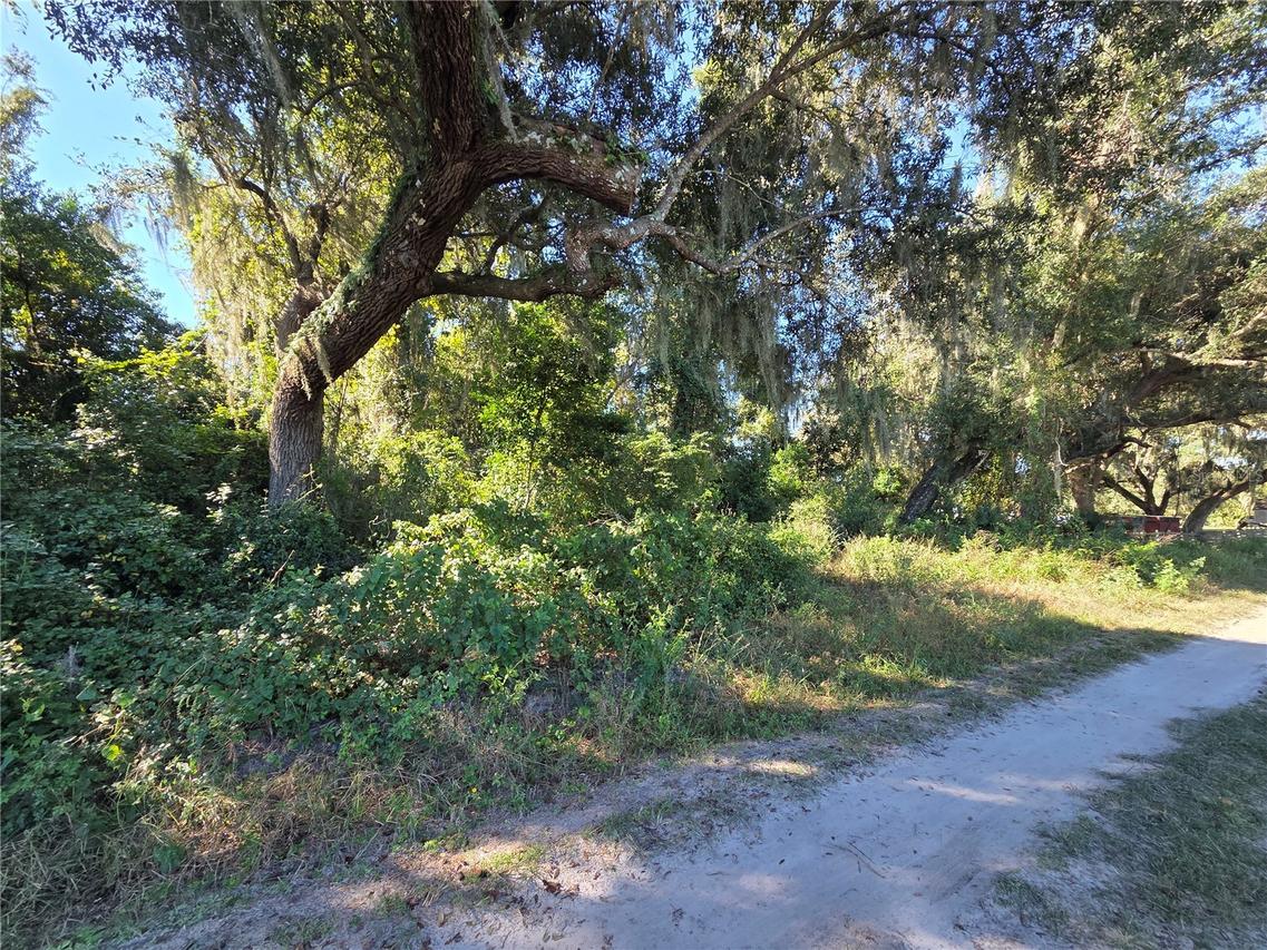 6605 SE 55th Ave., Center Hill, FL 33514