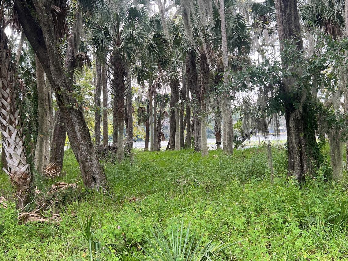 Hickory Rd., Astor, FL 32102