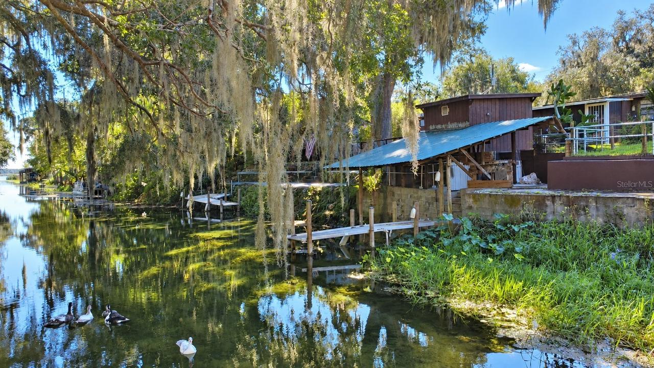 766 Cr 485a, Lake Panasoffkee, FL 33538