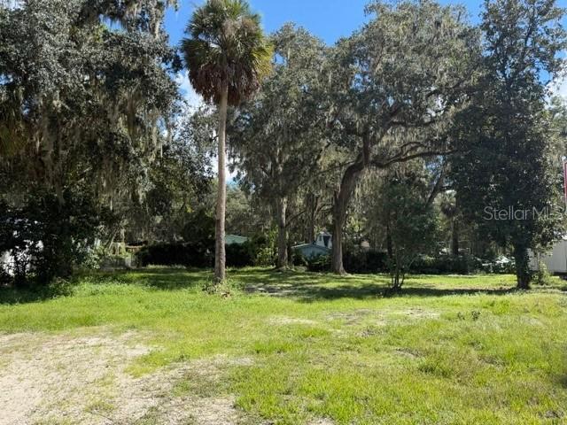3687 Cr 405dw, Lake Panasoffkee, FL 33538