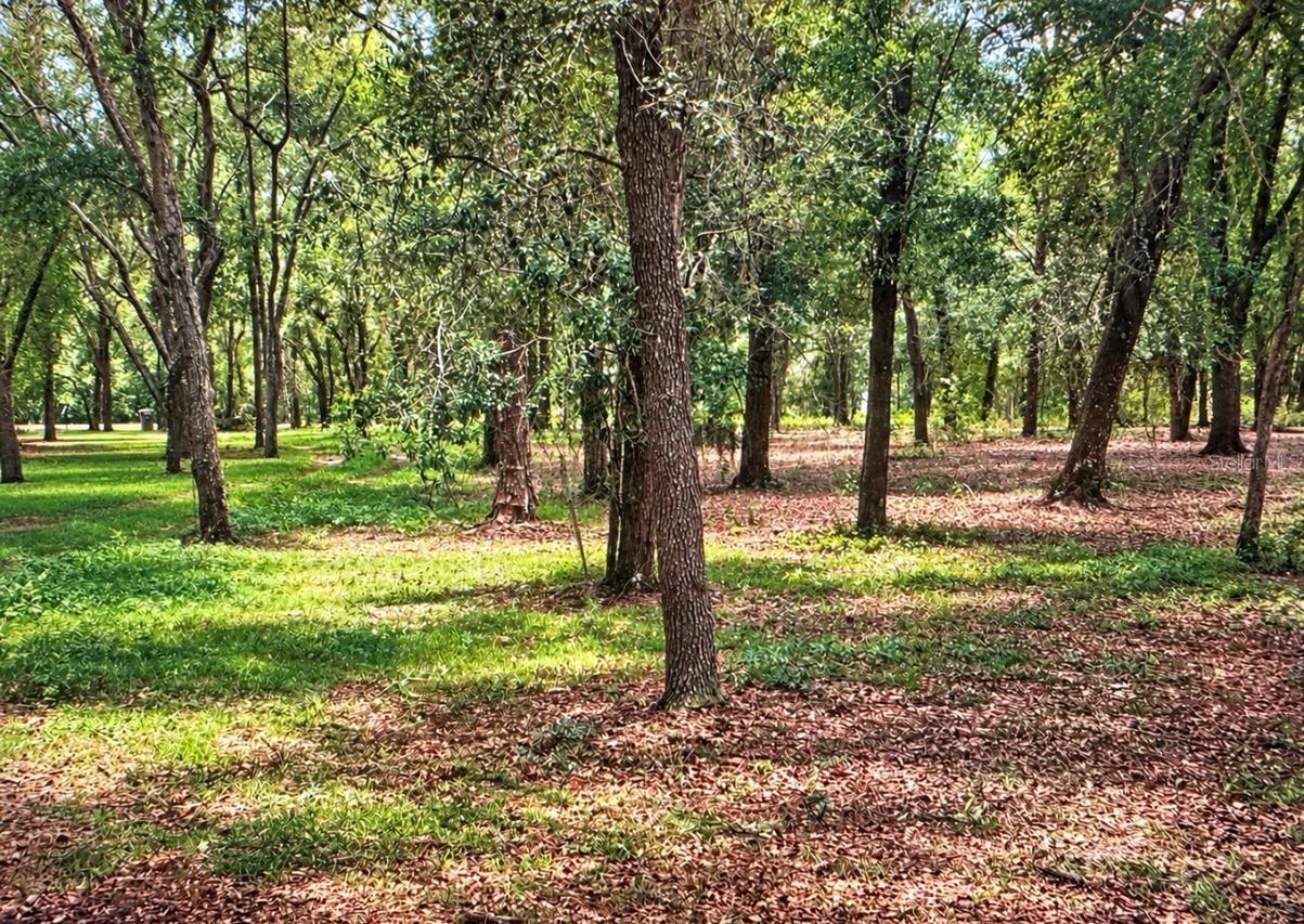 Rolling Acres Rd., Lady Lake, FL 32159
