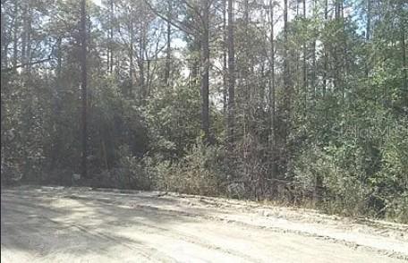 TBD Se 213th Terrace, Umatilla, FL 32784